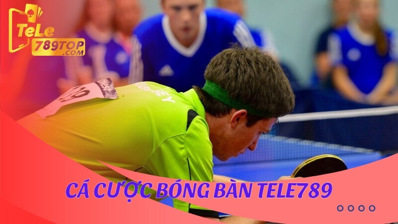 Cá cược bóng bàn Tele789 hấp dẫn, thưởng lớn và dễ chơi 5 Cá cược bóng bàn Tele789 là hình thức hấp dẫn